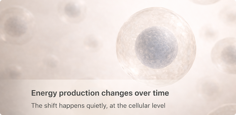 Muscle_Tightness_13.png Muscle_Tightness_13.png