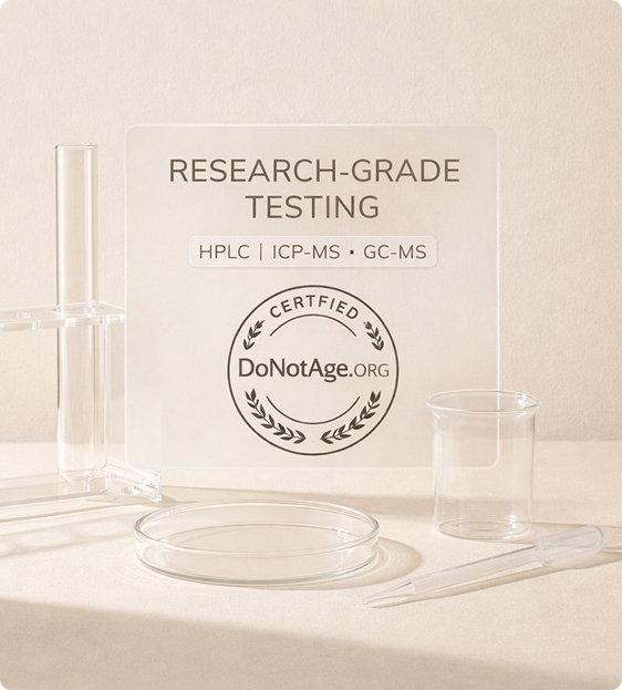 Rectangle 2631 Rectangle 2631